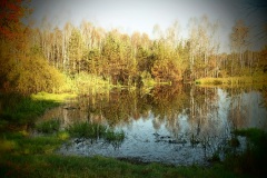 Bagno Jacka - Ewa Stolarz